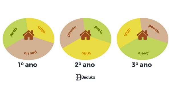 Imagem-esquema-da-rotação-de-cultura-tres-anos-e-etapas-pousio-leguminosa-e-plantaçao