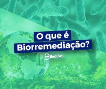 Tudo sobre o que é Biorremediação!