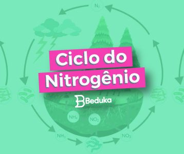 Veja o Resumo do Ciclo do Nitrogênio com as informações completas!