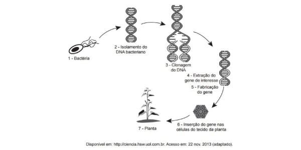 Exercício sobre Biotecnologia