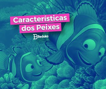 Características dos Peixes - tudo sobre!