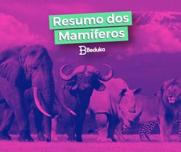 Conheça os mamíferos e suas características!