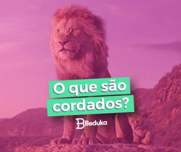 Descubra já o que são Cordados!