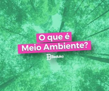 Entenda o que é o Meio Ambiente e todos os seus conceitos!
