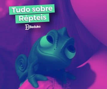 O mundo dos Répteis e suas principais características!