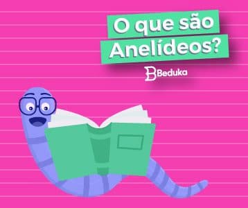 O que são Anelídios Tudo sobre o assunto!