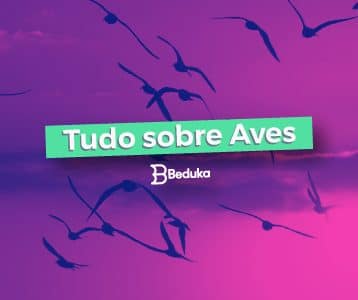 O que são Aves e quais são suas características!