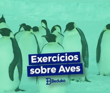 Exercícios sobre Aves