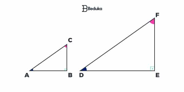 Exercícios De Semelhança De Triângulo Com Gabarito