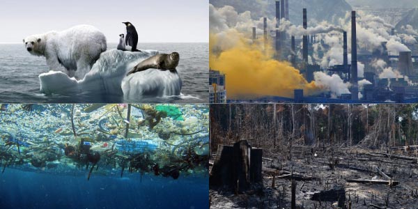 problemas-amientais-aquecimento-global-que-derrete-gelereiras-e-extingue-animais-polares-poluição-da-água-com-lixos-e-poluição-do-ar-com-fumaça-de-indústrias-e-queimada-e-desmatamento
