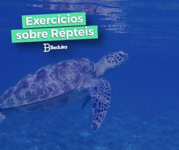 Exercícios sobre Répteis