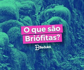 Briófitas - Principais Características!