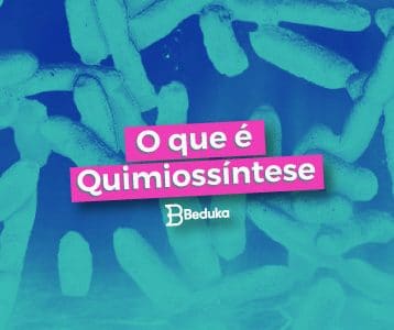 Descubra o que é Quimiossíntese!