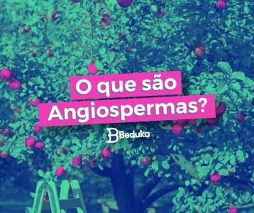 Resumo com as principais características das Angiospermas!