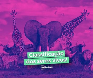 Tipos de Classificação dos Seres Vivos!