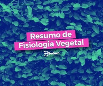 Entenda de uma vez por todas o que é Fisiologia Vegetal!