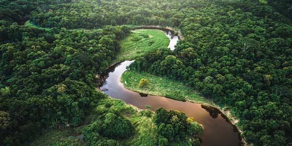 floresta-amazonica-no-brasil-e-tentantiva-de-internacionalização