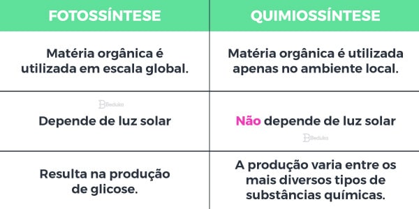 Comparação entre Quimiossíntese e Fotossíntese