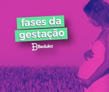 Descuba quais são as Fases da Gestação e como elas ocorrem!