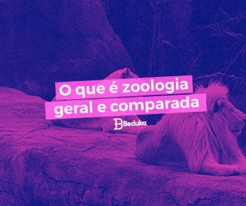 Entenda logo o que é Zoologia Geral e Zoologia Comparada!