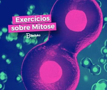Exercícios sobre Mitose
