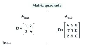 Matriz (O MELHOR RESUMO)