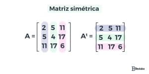 Matriz (O MELHOR RESUMO)