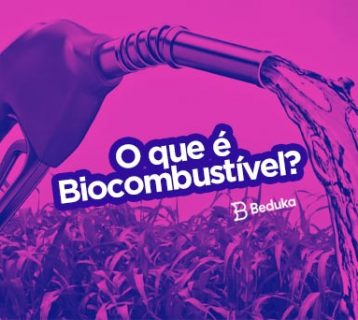 O Biocombustível no Brasil e no mundo: o que é, onde é usado, tipos, vantagens e desvantagens.