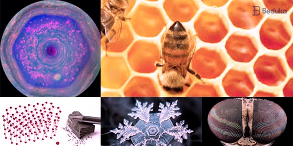 hexagono na natureza nuvens de saturno colmeia olho de inseto estrutura quimica do carbono cristal de gelo