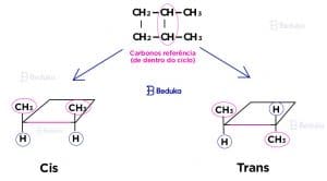 Isomeria Geométrica: o que é Cis e Trans + Exemplos
