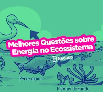 Questões sobre energia no ecossistema