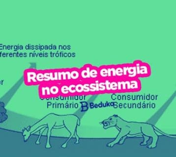 Resumo do fluxo de energia no ecossistema entenda suas características e como representar em pirâmides!