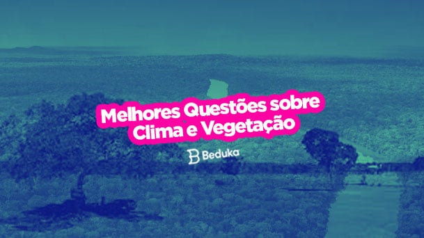 Características da Vegetação brasileira: resumo de geografia Enem