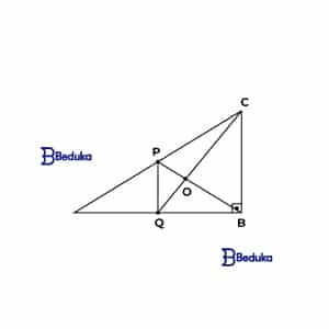 Excs-Quadrilatero---Questão-3 Na figura abaixo, Q é o ponto médio de AB, o segmento QP é paralelo a BC e AC = 30 cm. Determine PO