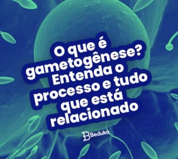 O que é gametogênese Entenda o processo e tudo que está relacionado