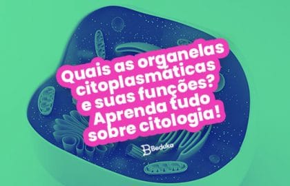 Quais as organelas citoplasmáticas e suas funções Aprenda tudo sobre citologia