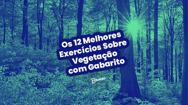 A vegetação brasileira: tipos, características e mapa