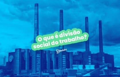 O que é divisão social do trabalho