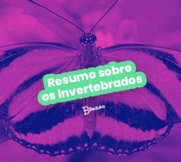 Resumo sobre os invertebrados