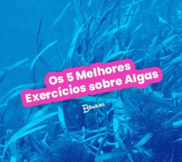 os 5 melhores exercicios sobre algas