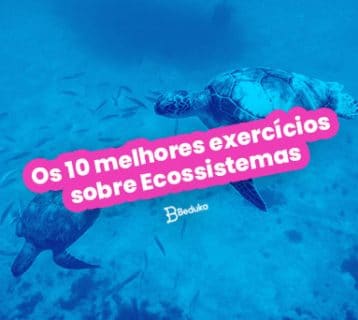 Os 10 melhores exercícios sobre Ecossistemas