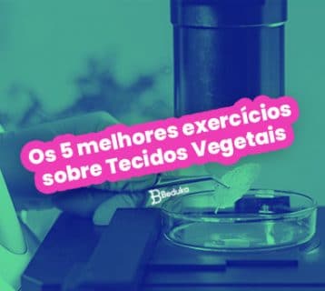 Os 5 melhores exercícios sobre Tecidos Vegetais