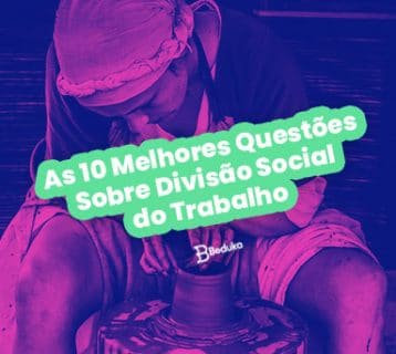 Questões Sobre Divisão Social do Trabalho