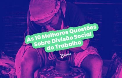 Questões Sobre Divisão Social do Trabalho