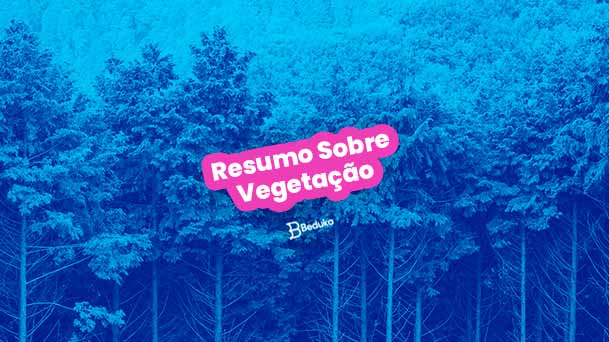 Tipos de vegetação do Brasil - Estudo Prático