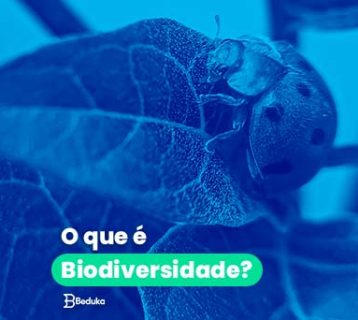 O que é Biodiversidade?