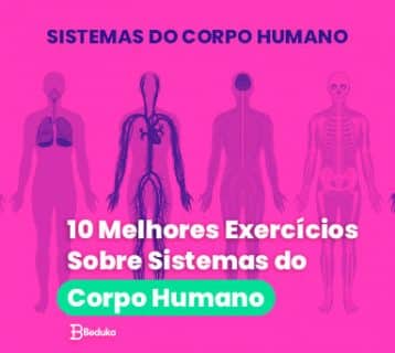 Os 10 melhores exercícios sobre Sistemas do Corpo Humano