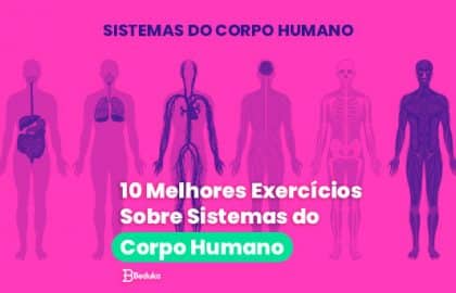 Os 10 melhores exercícios sobre Sistemas do Corpo Humano