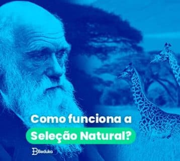 Como funciona a Seleção Natural?