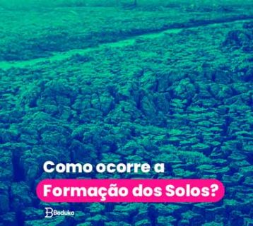 Como ocorre a formação dos solos